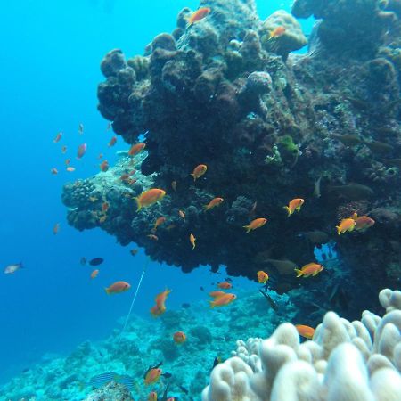 Rasdhoo Coralville Kültér fotó