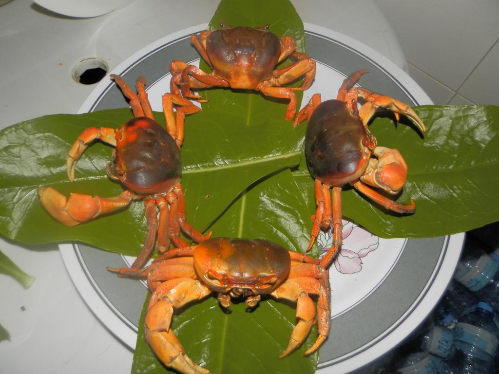 Rasdhoo Coralville Kültér fotó