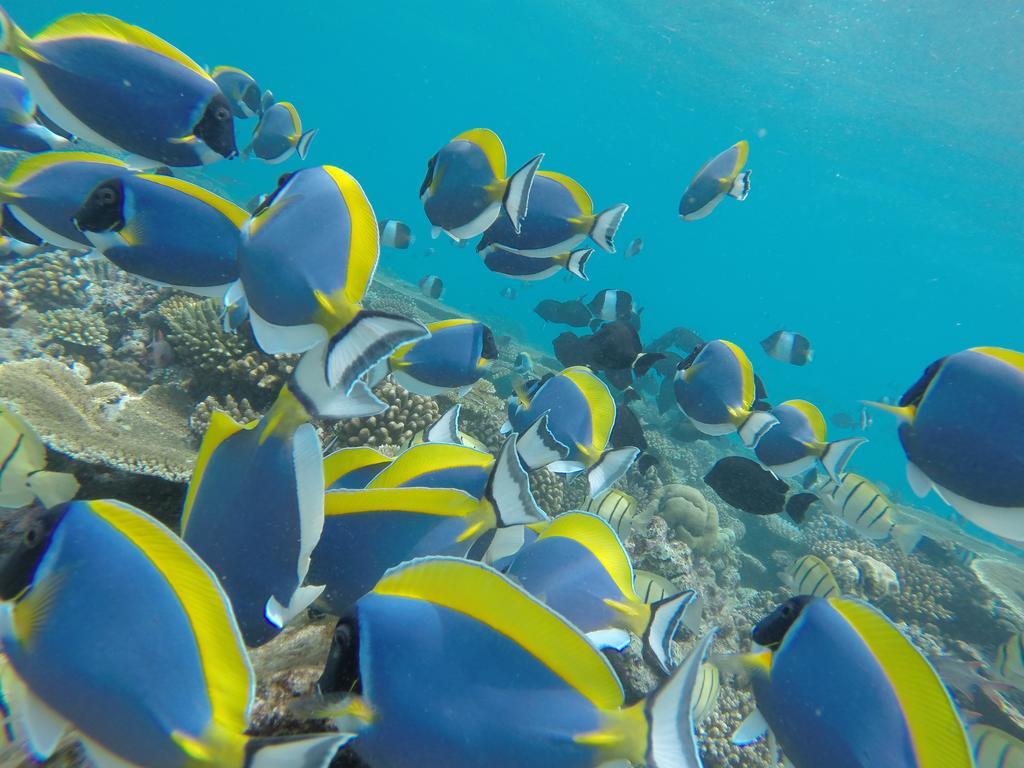 Rasdhoo Coralville Kültér fotó