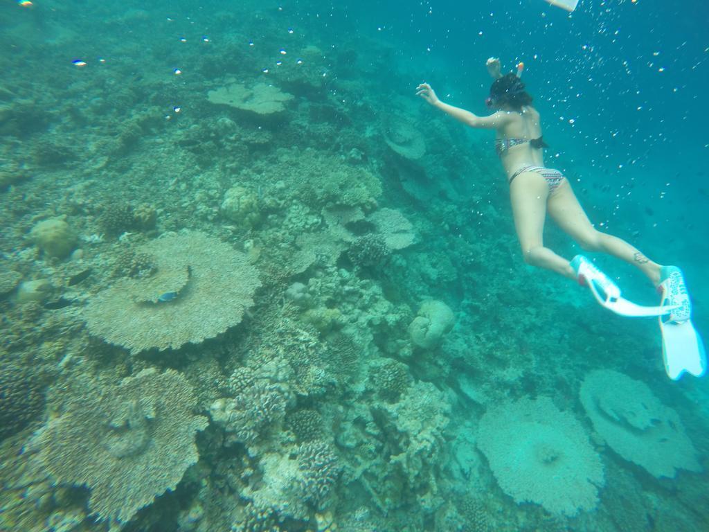 Rasdhoo Coralville Kültér fotó