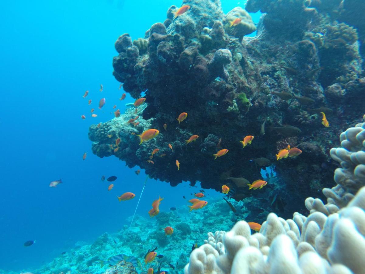 Rasdhoo Coralville Kültér fotó